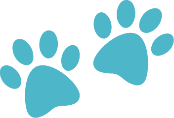 Pfotenabdruck vom Hund